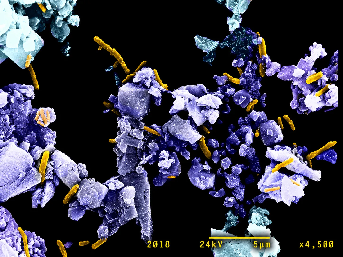 Colorized mineral fragments with yellow rods